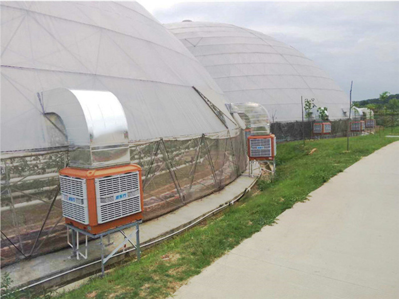溫室大棚通風(fēng)降溫設(shè)備|潤東方環(huán)?？照{(diào)