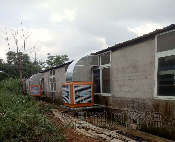 養(yǎng)殖場通風(fēng)降溫工程|潤東方環(huán)?？照{(diào)方案設(shè)備