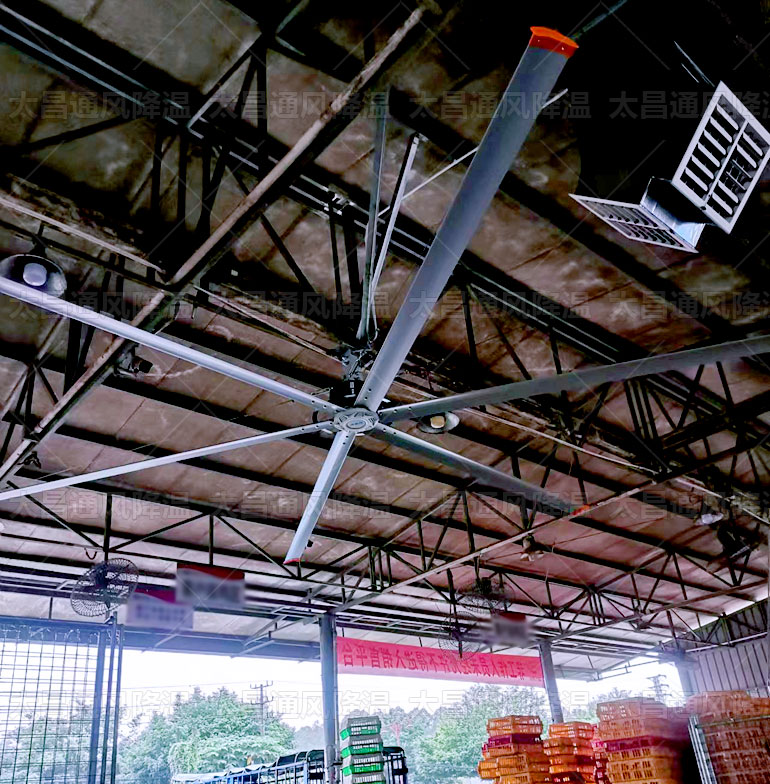 工業(yè)大風(fēng)扇有幾種，看完這些你就知道了
