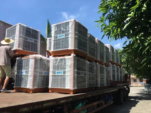 工廠車間快速降溫方法，你知道嗎？