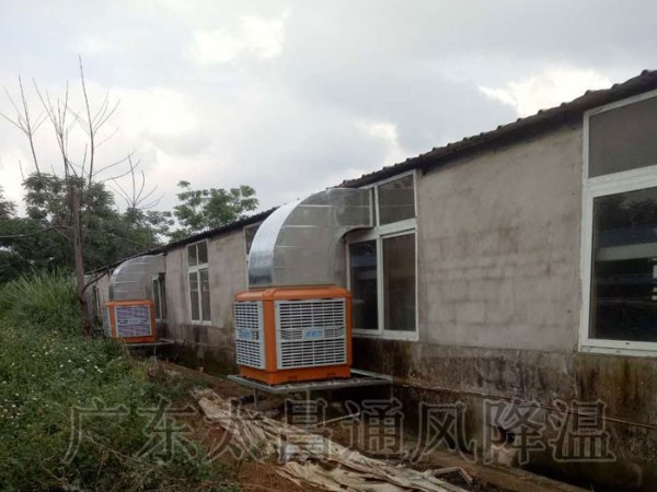 飼養(yǎng)廠|養(yǎng)豬場(chǎng)環(huán)?？照{(diào)通風(fēng)降溫案例