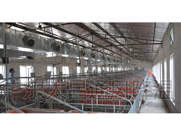 潤(rùn)東方環(huán)?？照{(diào)廠家為您解析溫度對(duì)豬的重要性